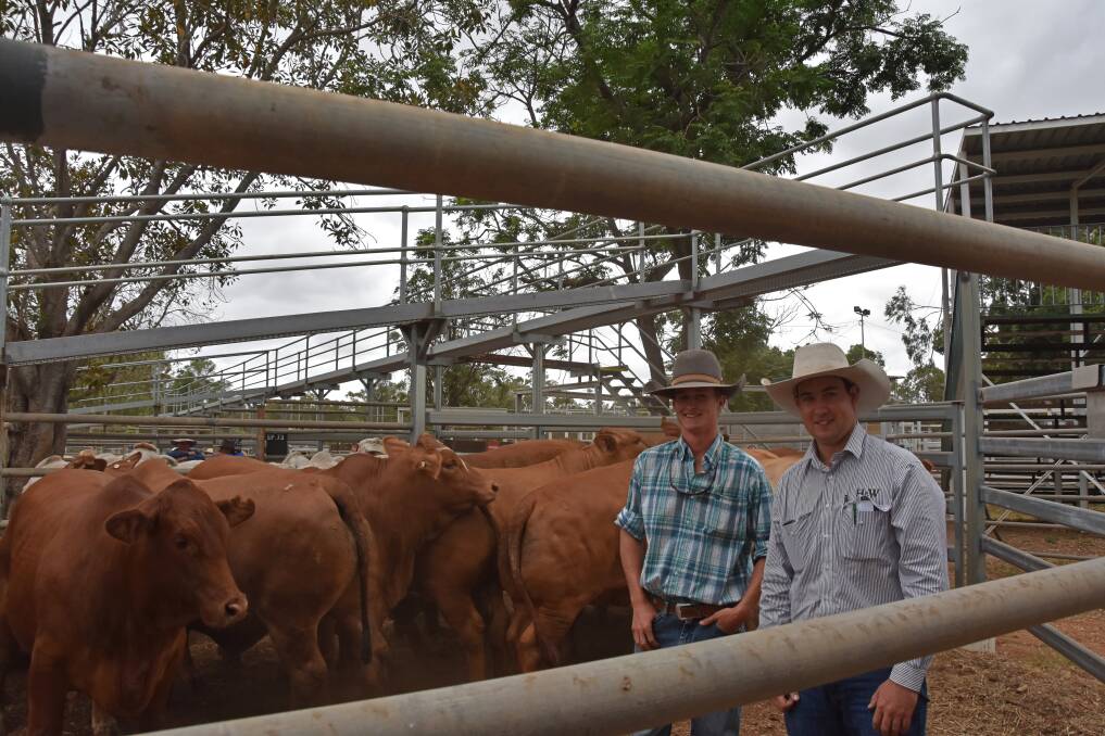 Best in show: Hugh Fernie, Riverview Cattle Co, Clermont, and Jake Passfield, Hoch & Wilkinson, with the Fernies' pen of Droughtmaster-cross bullocks which won grand champion exhibit of the 2019 expo, and sold for 345c/kg. 