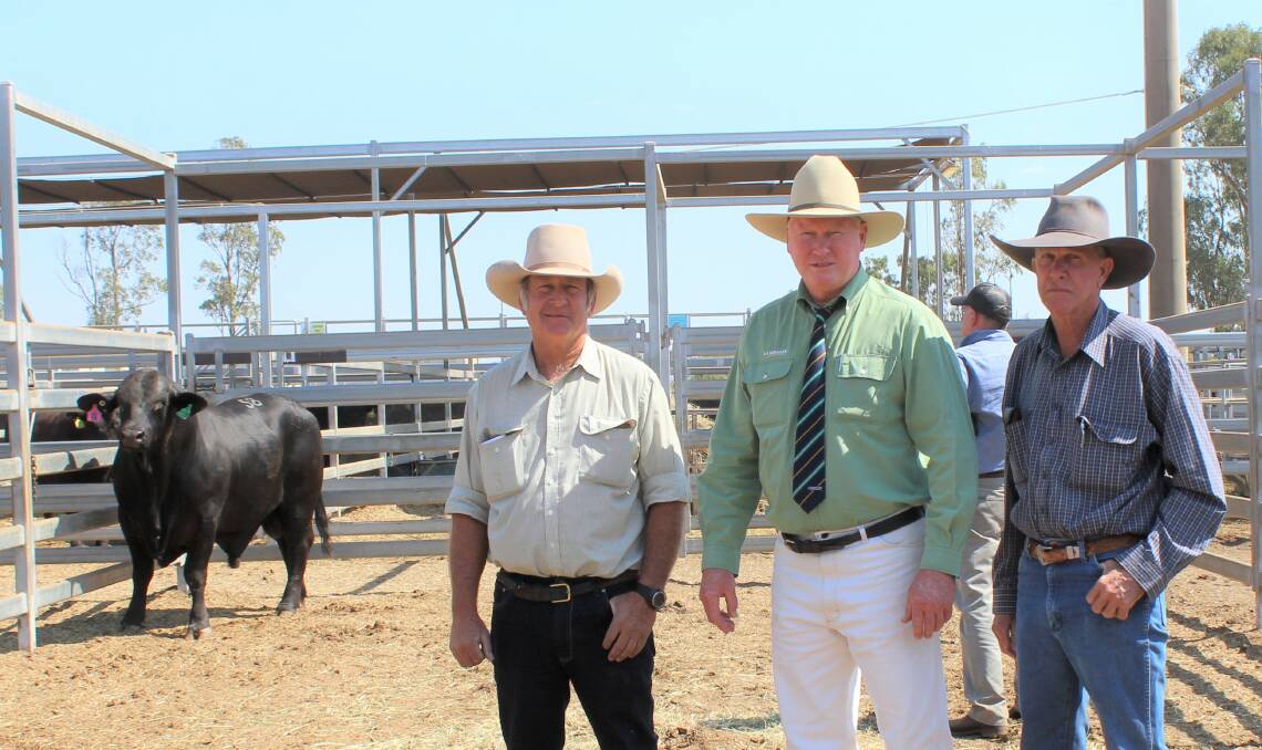 Tops in 2019: Vendor Bruce Woodward, Tualka South, Taroom, agent Julian Laver, Nutrien Ag Solutions Rockhampton, and buyer Wayne Maguire, Scrubbee, Dingo, with the top priced bull of the 2019 sale, Bonox 1108.
