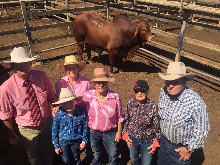 Top bulls: Garry Cartwright, Sally and Harriet Sweetland, Annabelle Wilson, and Lorraine and John Creevey at the Roma Saleyards.