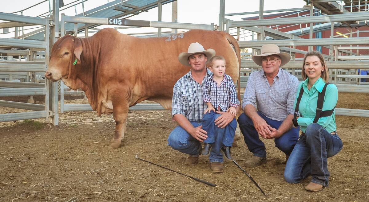 Golden Oasis: The top price bull of the 2017 sale, Oasis Dundee, with vendors Adam, Archie and Noel Geddes, Oasis Droughtmasters, Emerald, and buyer Gayle Shann, Lamont Droughtmasters, Cantaur Park, Clermont.