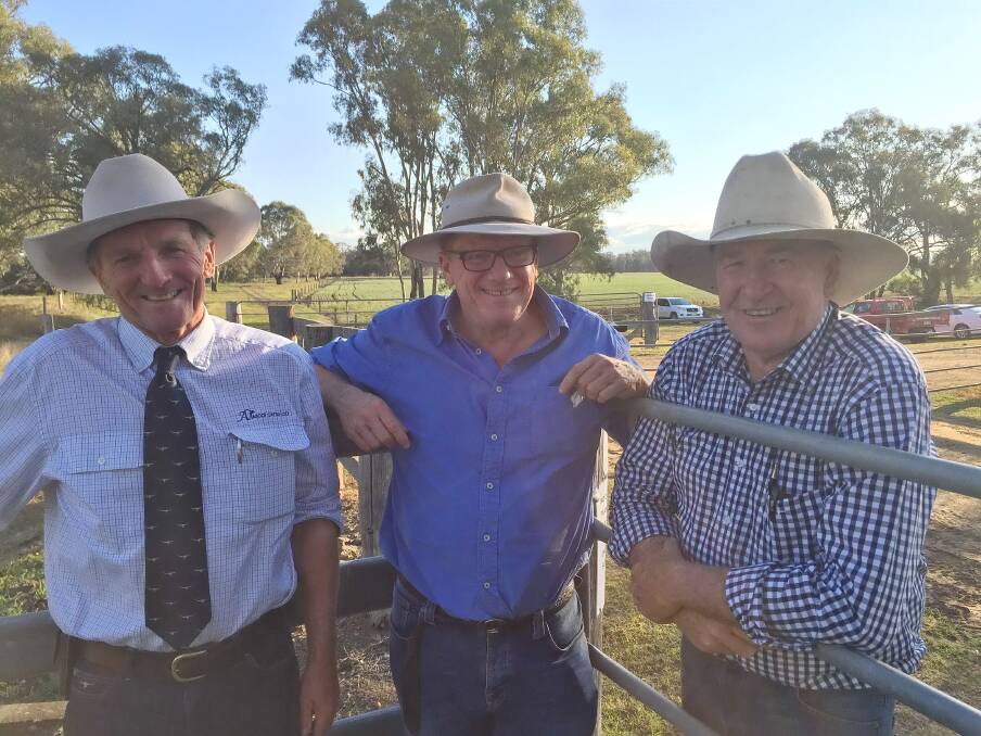 Rock solid relationships: Nick Mather (centre) with Jim Wedge, Ascot Stud, Warwick, and Manumber Pastoral Company manager Miles Paterson.