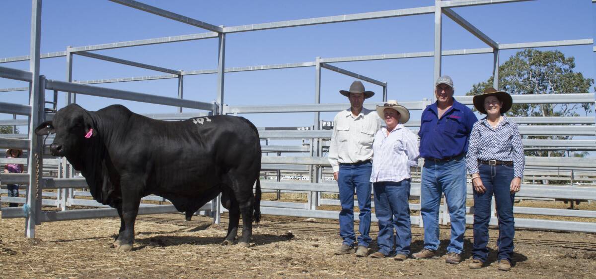 Good buying: Geoff and Karen Russell (middle) purchased Telemon Jacob (P) from Duncan (far left) and Karen Geddes (far right) for $20,000 at the 2017 Central Brangus Classic Sale. Photo: Kent Ward Photography.