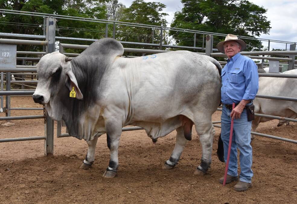 Many benefits: John Atkinson, Laguna Brahmans, Proserpine, with Laguna Zillion 2nd (P), which topped the 2019 Gold City Sale at $23,500.