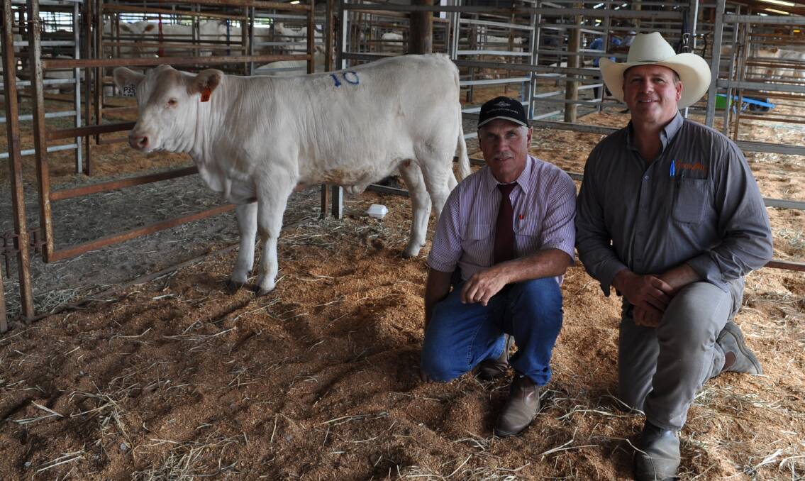 Graham Blanch, Charnelle Charolais and organiser of the sale with Roderick Binny, Glenlea Beef with the calf from equal second top priced female, Glenlea Sandy 3rd (P) (R/F) (TW) at the CHarnelle Charolais 9th Annual invitation Female and Genetics sale.