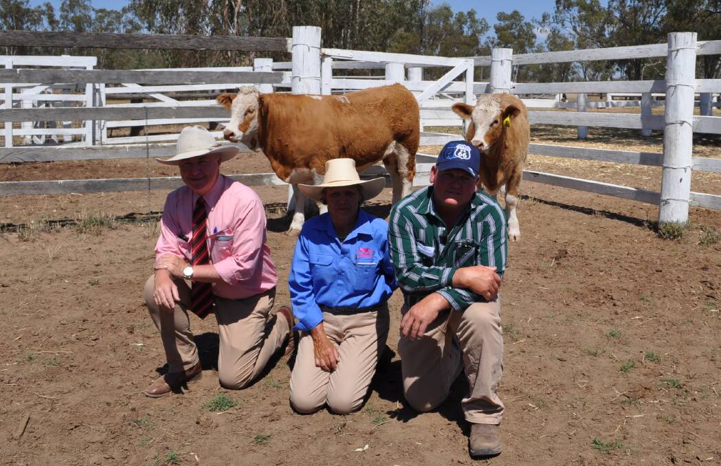 Andrew Meara, Elders, Jan Bradshaw, Blue Dog Simmentals and Kevin Perkins, Cannon Dee Simmental stud, Chinchilla, with his top priced heifer Blue Dog Benita 321 and the other heifer Blue Dog Gentle Nell (P) sold for $4000.