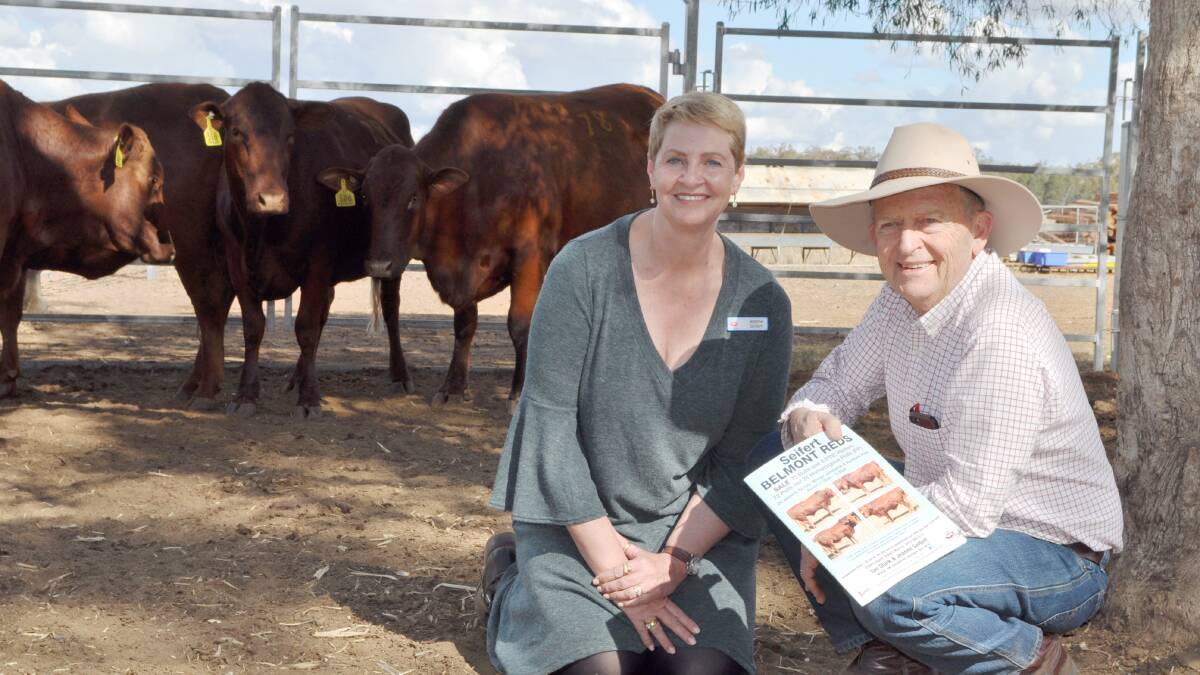Jeanne Seifert, Seifert Belmont Reds with buyer John Winson, High Paddock Bellthorpe with the four heifers he purchased at the sale.