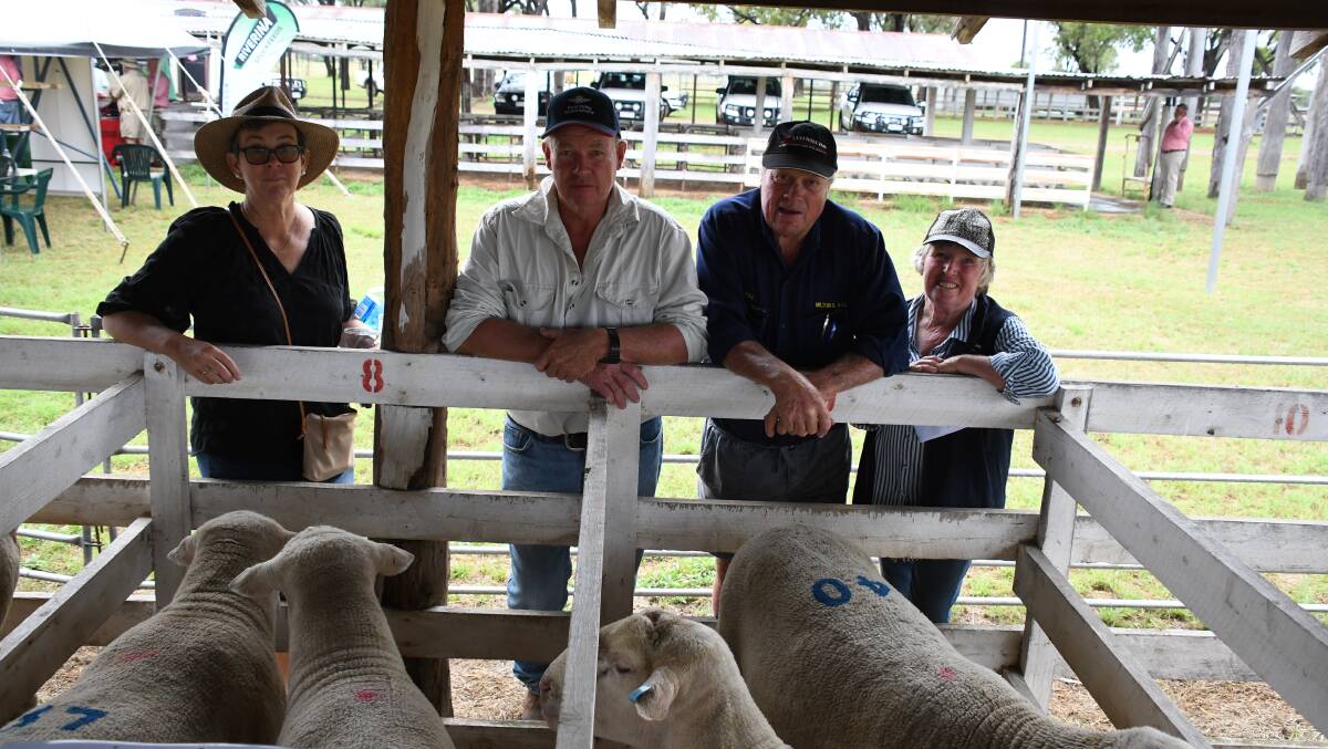 Bronwyn and John Hodgen, Barcudgel Grazing Co, Charleville with Josh Milton and Anne Hall, Milton Park Suffolks.