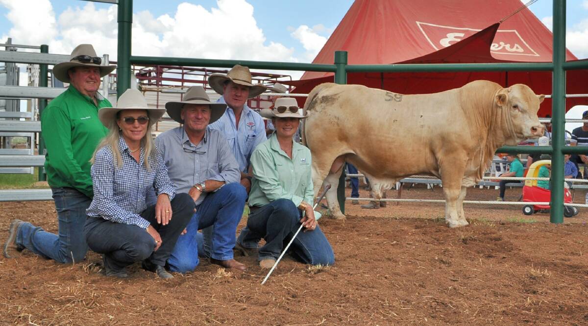 Lindsay Hindle,LVH Fairfield,  Dee Chambers and Ken Syme Noogilla Cattle co with Auctioneer Brad Neven, Watkins and Co Roma and Jessie Chiconi LVH Fairfield and Fairfield Merlot on of the top priced composite bulls.