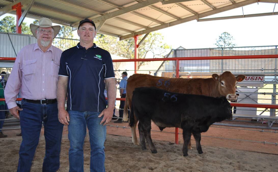 George Massam purchased the top price female, BJF Yankee Spice Girl K162, for $6500 with vendor Bradley Frohloff, BJF Limousin Stud, Yarraman.