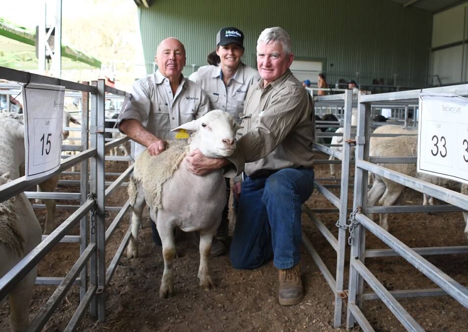 Vendors, David and Sophie Curtis, Bellevue, with buyer David Hetherington, Yilgangandi Unit Trust, Bimbi, Nindi-Thana, Thallon with one of the two $5600 White Dorper rams. Picture by Jane Lowe. 
