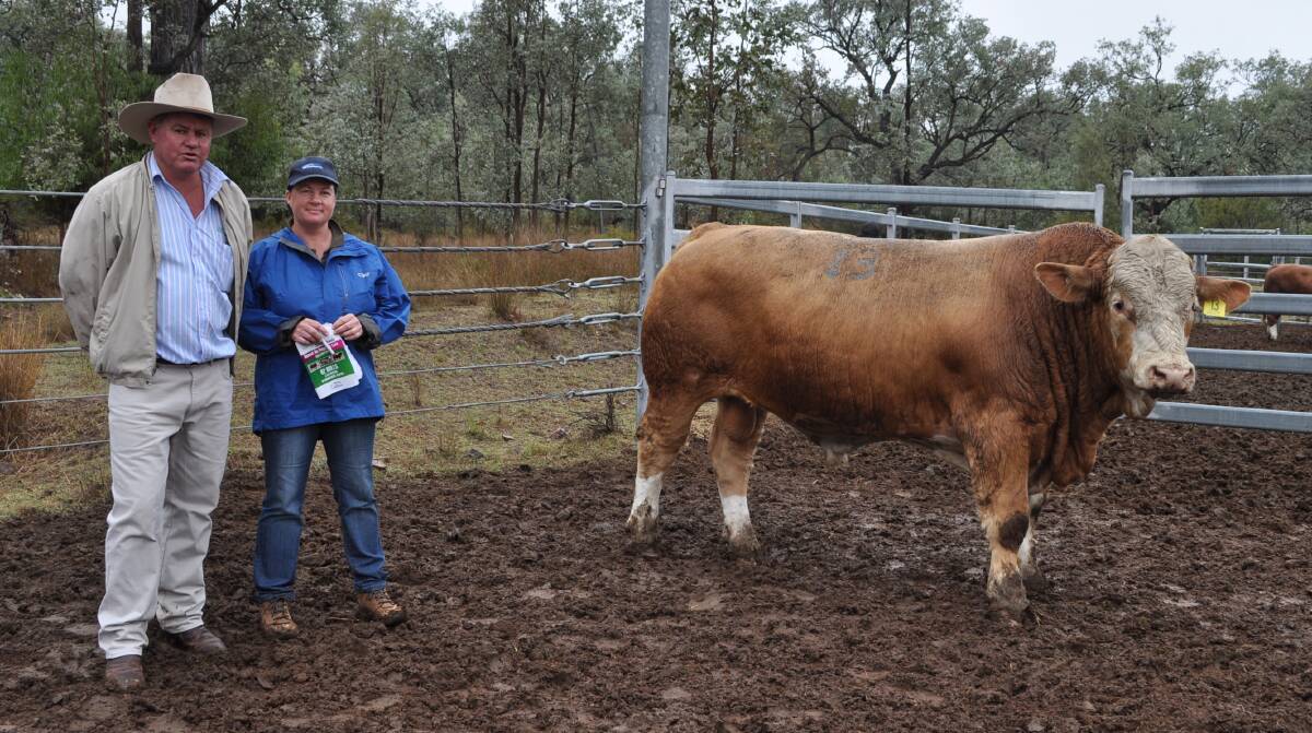Vendor Andrew Moore with buyer Teena Langley and the $13,000 top priced bull Lucrana Memphis (P).