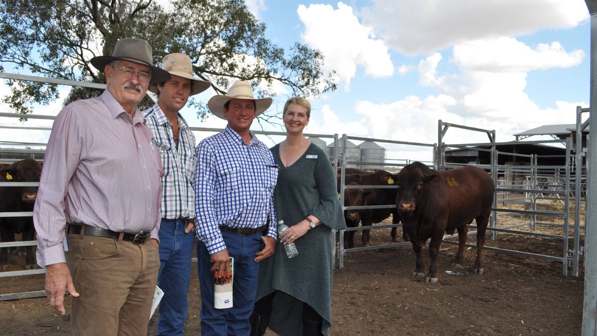 Geoff and Richard Bethel, with vendors Ian Stark and Jeanne Seifert and the top priced $13,000 bull.