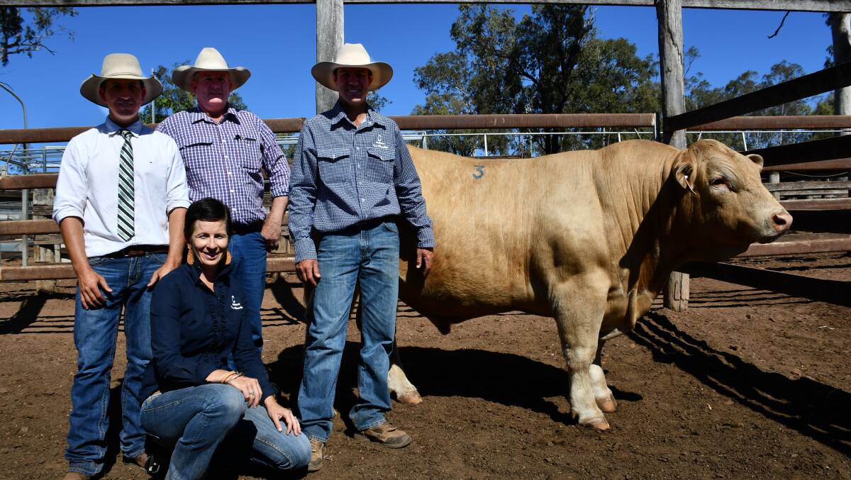 Auctioneer Wayne York with buyer Brian Hills Oakwood, Moura and Stud principals Natalie and Alan Goodland, Clare Charolais.