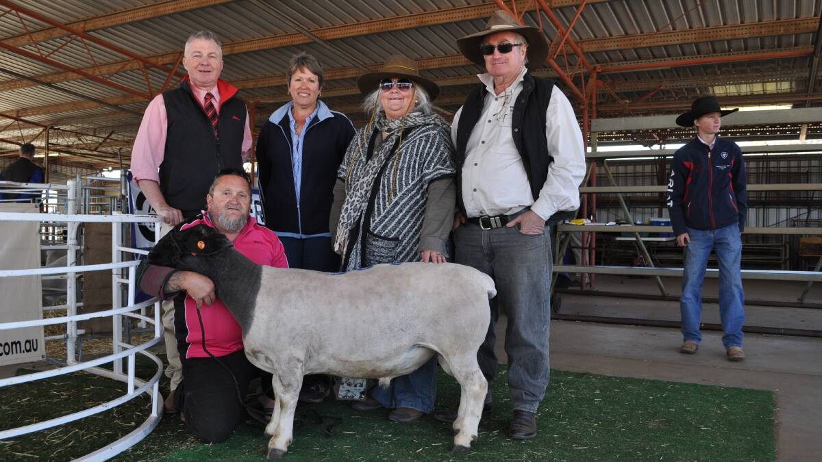 Andrew Meara, Elders Toowoomba with Harold and Julie Swilks,Tinalong Dorpers and buyers Gai and Paul White, Riverview, Surat with the top priced ram Tinalong 180568.