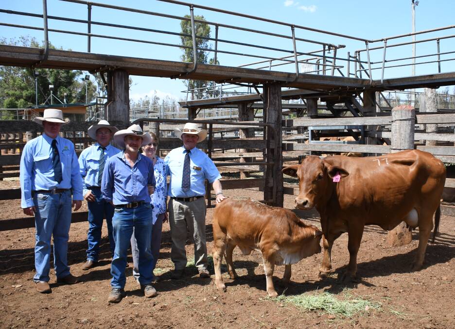 Corey Evans, Midge Thompson, Aussie Land & Livestock with, Jonathan, Helen and Hugh Faris, Ivanhoe.