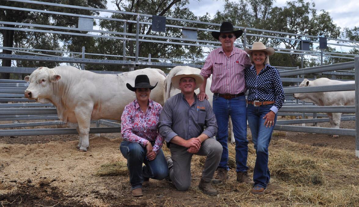 Kayla Warrian, Roderick Binny, Glenlea Beef with Grant and Kay Warrian, Springrock, Injune, plus two of the Charolais bulls they purchased at the Monto All Breeds sale.