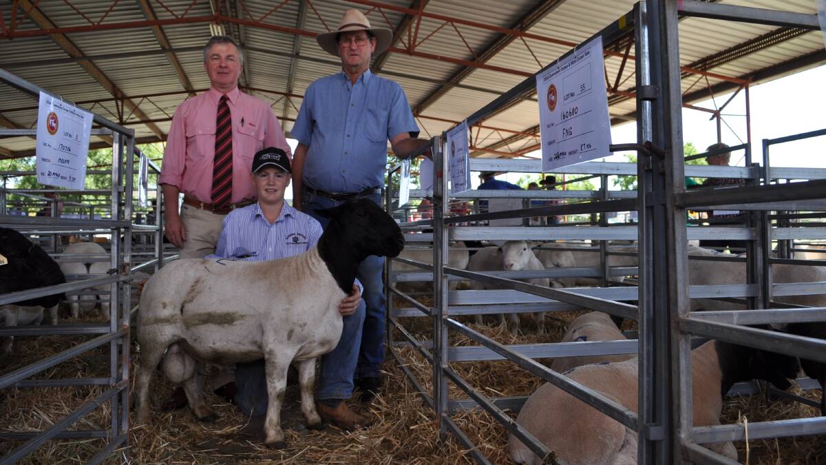 Andrew Meara, Elders stud stock, Toowoomba, with bulk buyer Lex Jukes, Tregoning, Morven and Mitchell Southern, Southern Brothers, Boonoon Dorpers, St George, with Boonoon 170044 who sold for $1600.