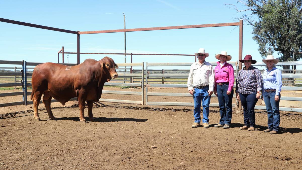 The top-priced Valera Vale bull with purchasers Roger and Jenny Underwood, Wallumbilla, and Valera Vale representatives Nikki Cleary and Claire Hay. Pictures: Sally Gall