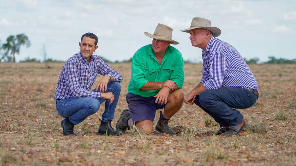 Muttaburra grazier Boyd Webb, centre, shows opposition leader David Crisafulli and Gregory MP Lachlan Millar some of the grasshopper damage he is sustaining on pasture struggling to regrow.