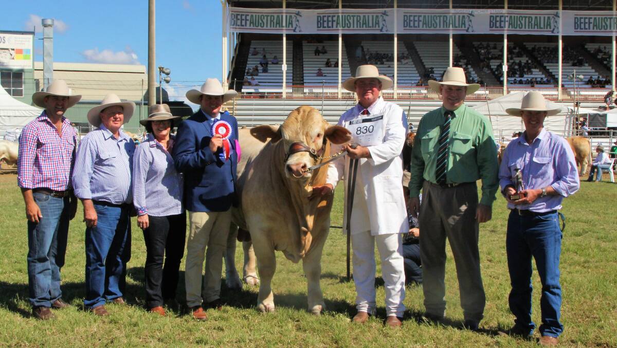 Lining up with grand champion Charbray bull, Cordelia Kingswood 98, were Allen Egerton, Chas and Judy Nobbs, judge Matt Ahern, Terry Connor of Timbrell Cattle Services, Landmark's Mark Scholes, and Phillip Nobbs.