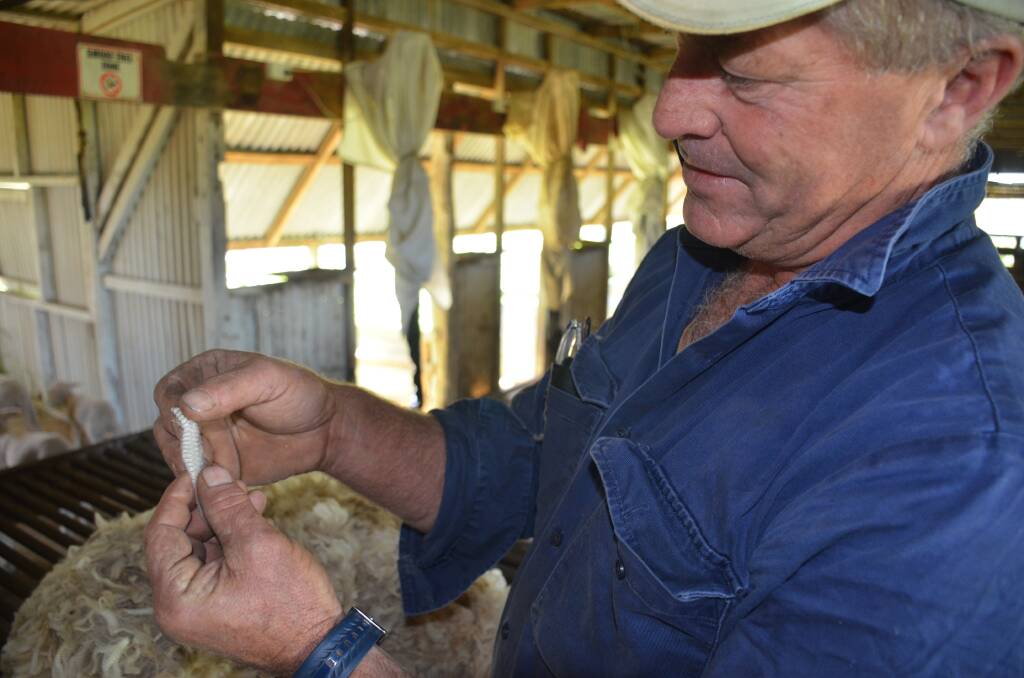 Ray Cameron takes a closer look at some of the station's free flowing wool, which also has featured very even staple length.