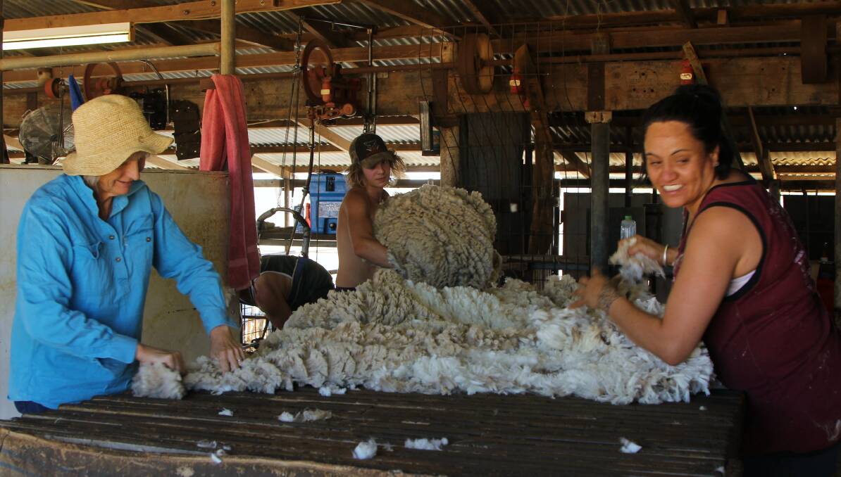 HELPING OUT: Ann Peacey lends a hand on the board at shearing time, skirting a fleece with NGS classer, Nardy Thompson.