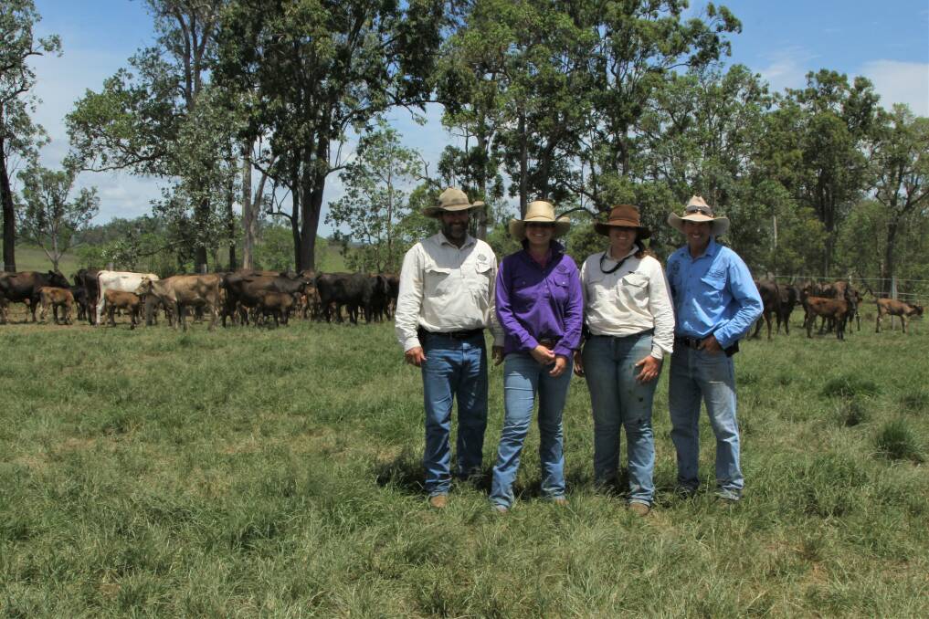 Darren and Melanie Hamblin, Strathdale Wagyu, Sarina, together with PhD student Samantha Connolly and fellow Sarina breeder Greg Neaton, after artificially inseminating a mob of two-year-old cows with calves at foot.