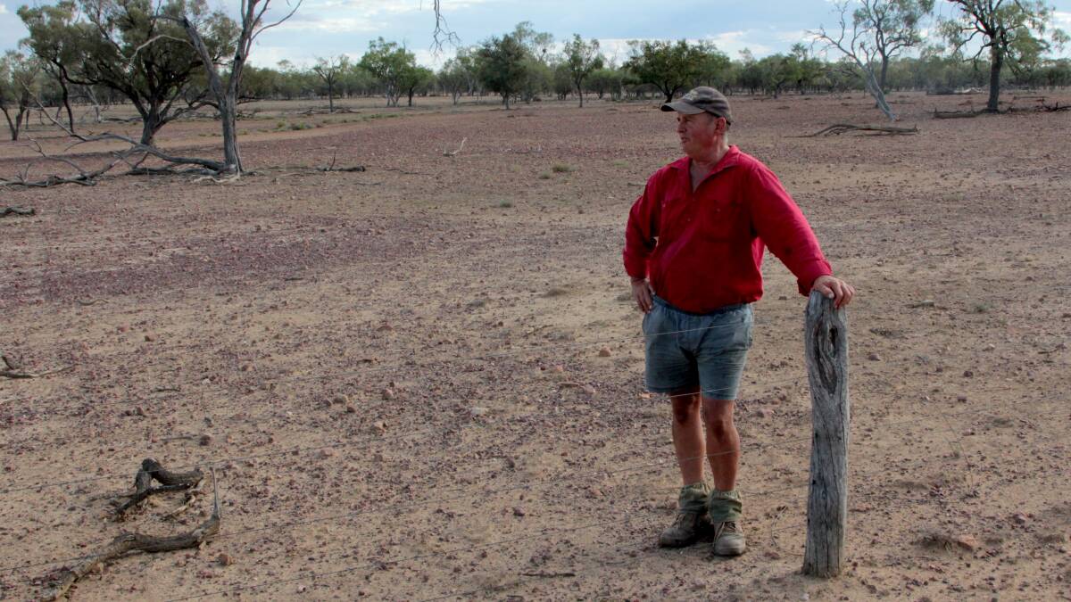 Dry as a bone: Martin Lloyd surveys paddocks that have been without substantial rain for four years.