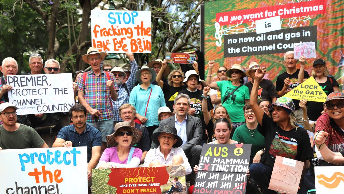 A portion of the group demanding Channel Country protection from oil and gas activity at Parliament House on Wednesday. Picture: Sally Gall