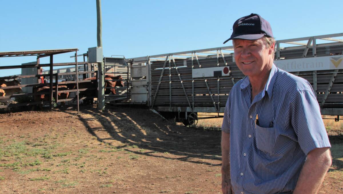 Historic times: Quilpie mayor Stuart Mackenzie was on hand to watch the first cattle train to Oakey in 23 years be loaded on Tuesday morning. Photos: Sally Cripps.
