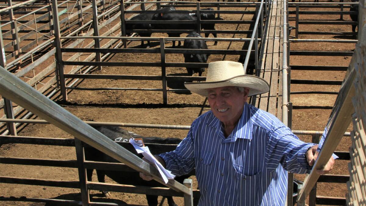 Robert Pedersen, Wyseby, Rolleston paid the second top price of $18,000 at the 2nd annual Pathfinder Angus Roma sale.