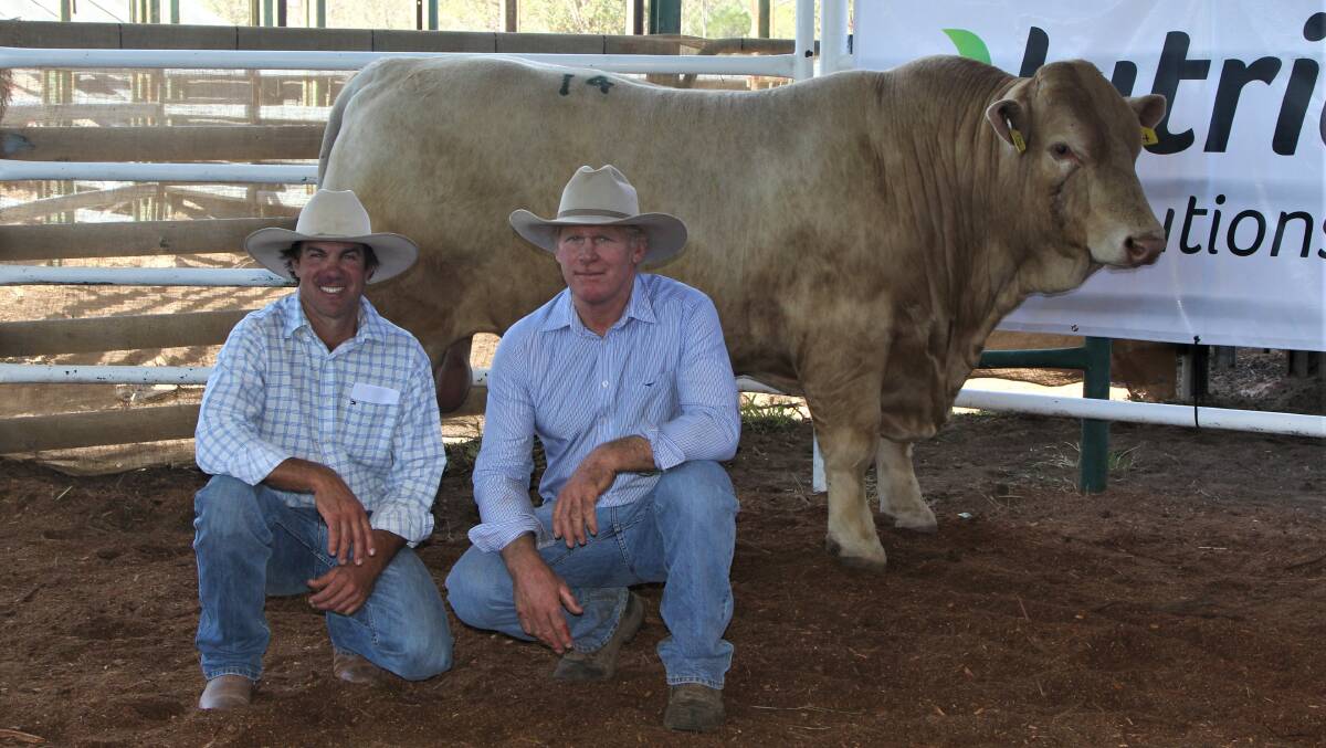 Alan Goodland, Clare Charolais, Theodore, purchaser of the sale's third top-priced bull Moongool P747E with vendor Ivan Price.
