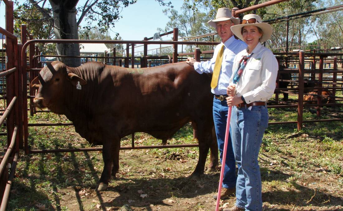 Taranguay Boombox sold for $6000 to Valera Vale Droughtmasters, represented by agent Ed Wood, Belyando Livestock and Property, pictured with stud principal Hayley Piggott.