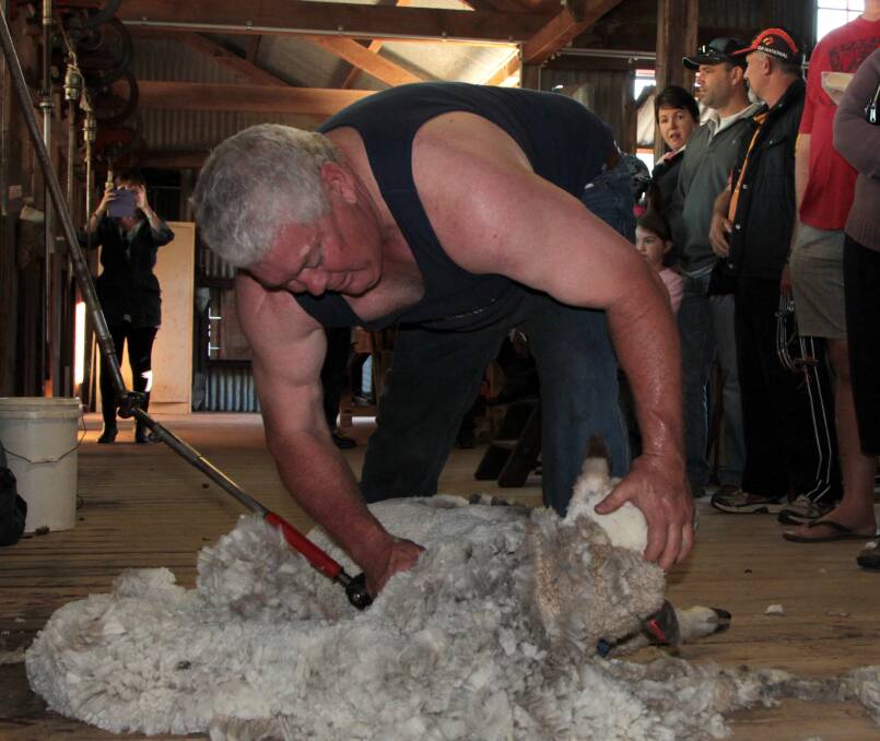 Right attitude: Barcaldine mental health advocate David Kerrigan showed he hadn't lost his touch when he gave a shearing demonstration during the afternoon.