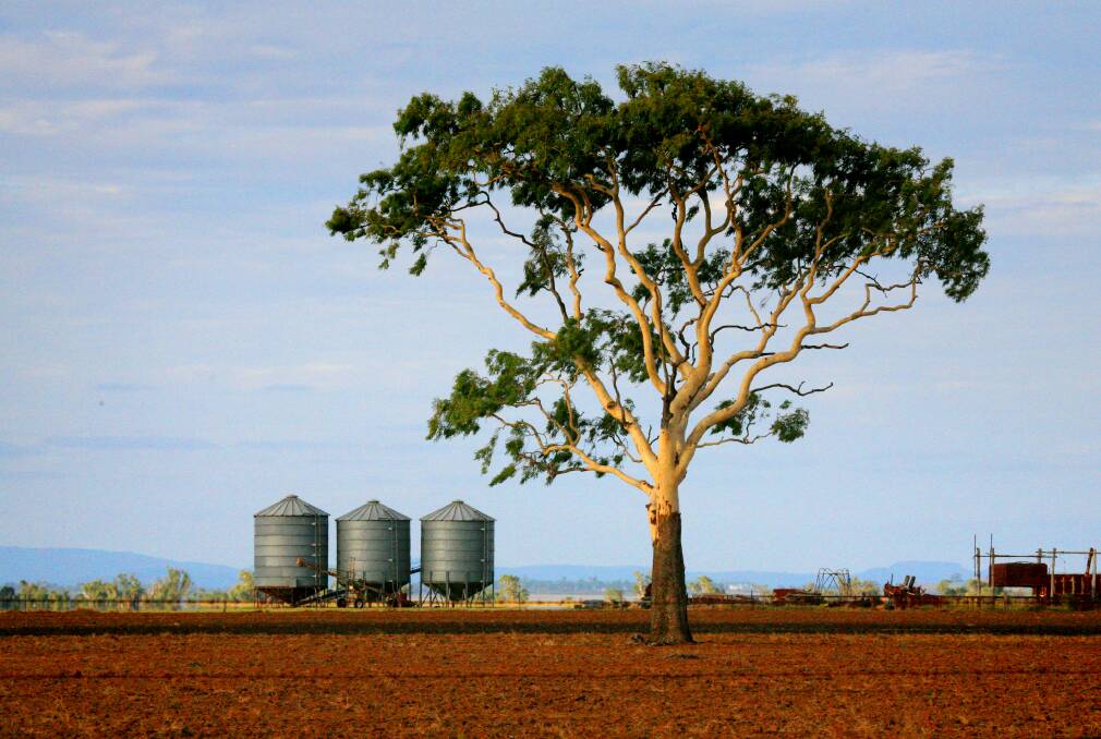 The impact of drought on Queensland's Western Downs and Darling Downs contributed to an increase in the state's debt burden, according to QRIDA's latest report.