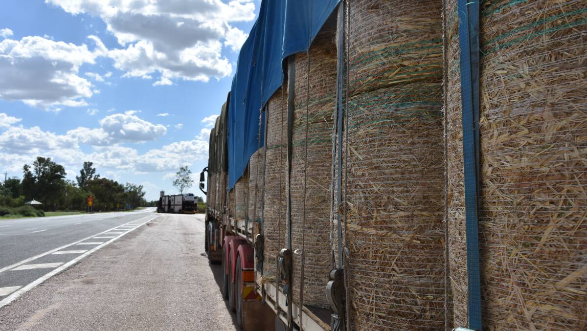 Almost 200 bales of forage sorghum bound for Winton as part of Rural Aid relief efforts.