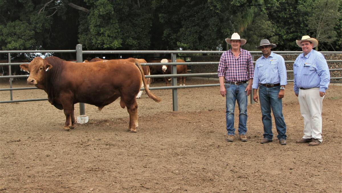 Woonallee N's Tom Baker, with Queensland Rural's Troy Trevor and Shaun Flanagan, and the top-priced sale bull, Woonallee N Protocol, sold for $30,000.