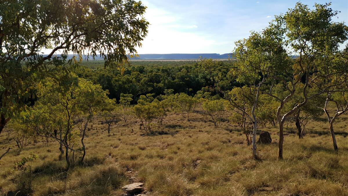 Looking across to Lawn Hill National Park.