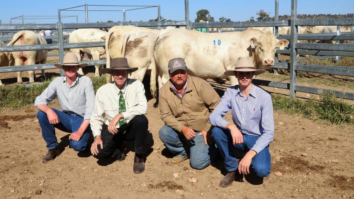 ANC stud principal Andrew Cass, second left, sons Oscar and Archie Cass, and purchaser Dillon Scott, Rosetta, Collinsville with the top priced bull, ANC Raunchy, and some mates. Picture: Sally Gall
