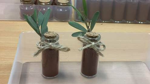 The vials of soil from the mulga country that Jenny Whip used to help spread her message of the need for financial counselling services in rural Queensland. Photo supplied.