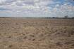 Drought survey highlights west’s tough year