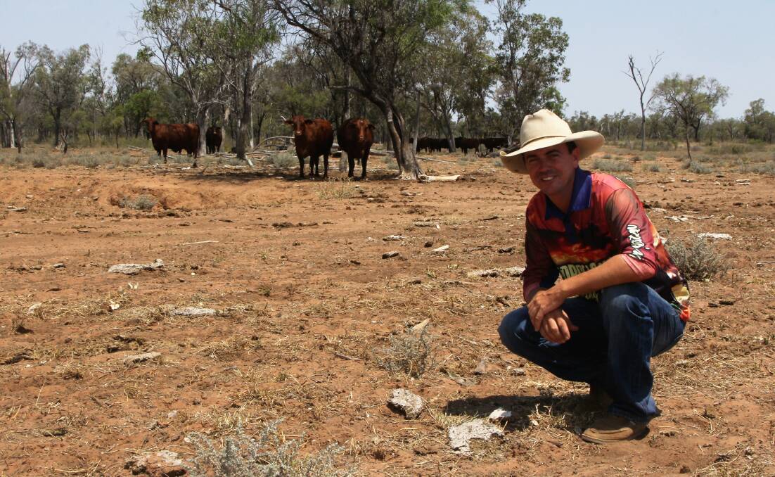 Numbers game: Sean Dillon, Surbiton Station, Alpha said the family operation was around 1400 head under capacity but there are plans, via a property purchase at Barcaldine and a lease on country on the Isaac River, to breed numbers back up. Picture: Sally Cripps.