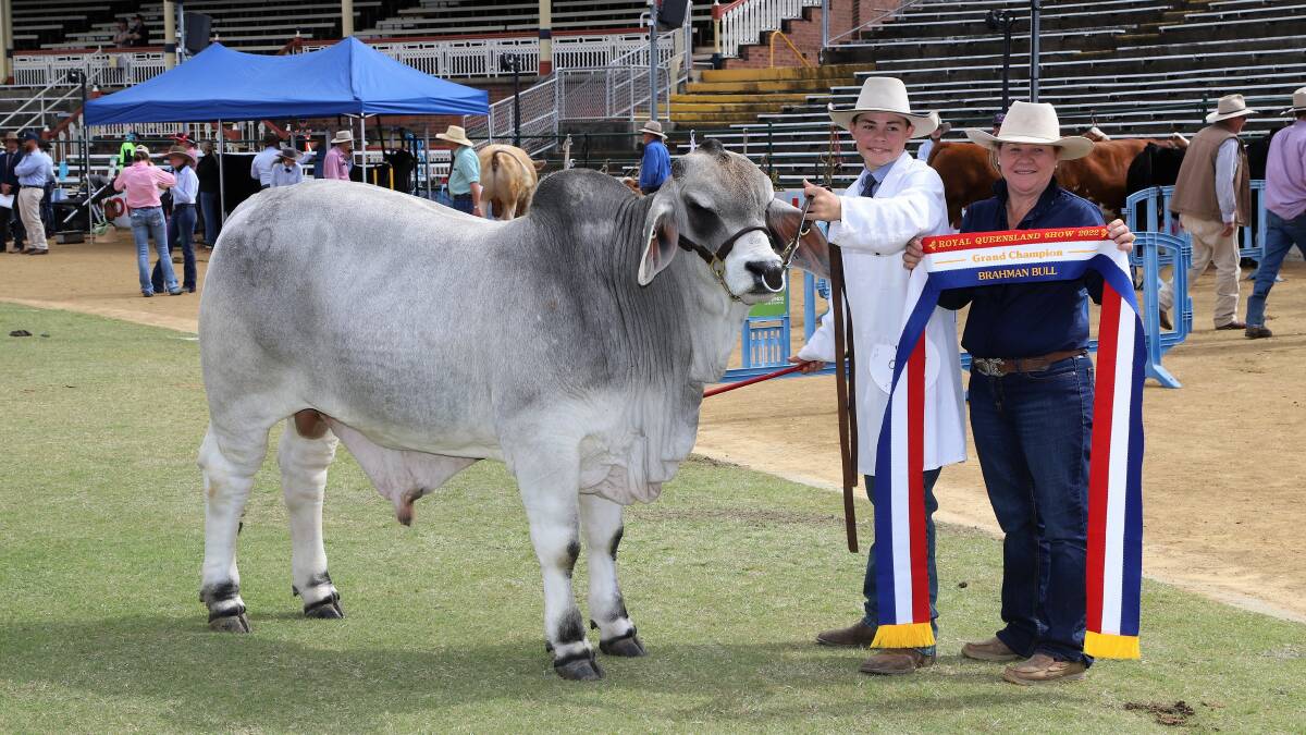Grand champion Brahman bull Cadet Easton with an excited Cody Mortimer and mother Kate Mortimer. Picture: Sally Gall