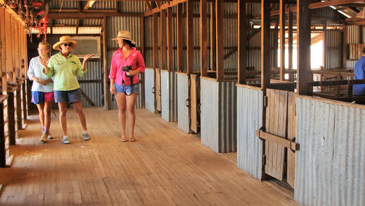 Eliza and Tracy Sargent show Jess Gilmour the interior of their five-stand shearing shed at Cooma. The family has moved west to take advantage of the wild dog barrier fence and exclusion fencing so they are able to remain in sheep.