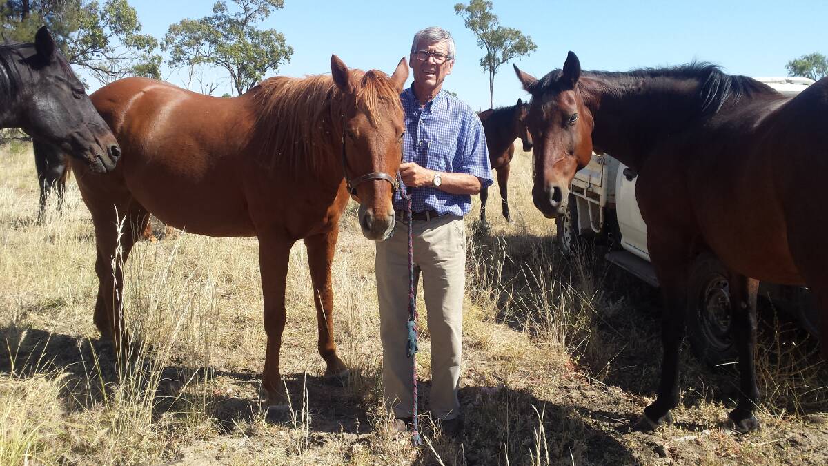 John Armstrong's love of horses extended beyond setting up Stanbroke's herd health to his own property. Picture: supplied