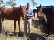 John Armstrong's love of horses extended beyond setting up Stanbroke's herd health to his own property. Picture: supplied