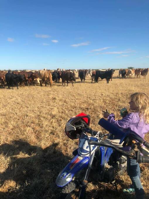 Hadley Oakhill enjoys helping put newly purchased cattle into a paddock on Bernfels. Tahnee Oakhill says the children still love bush life despite the traumatic event.