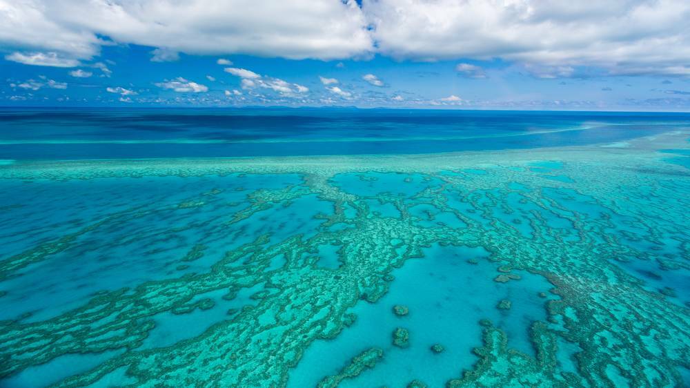 Mixed response to AIMS report of reef coral cover increase