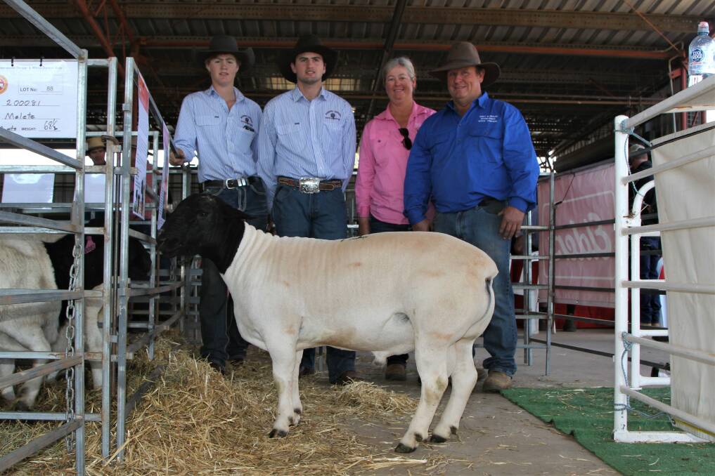 Mitchell and Warwick Southern, Boonoon Stud, Thallon, sellers of the top priced ram, and purchasers Karen and Wayne Dingle, Smit Dorpers, Mungallala. Photos: Sally Gall