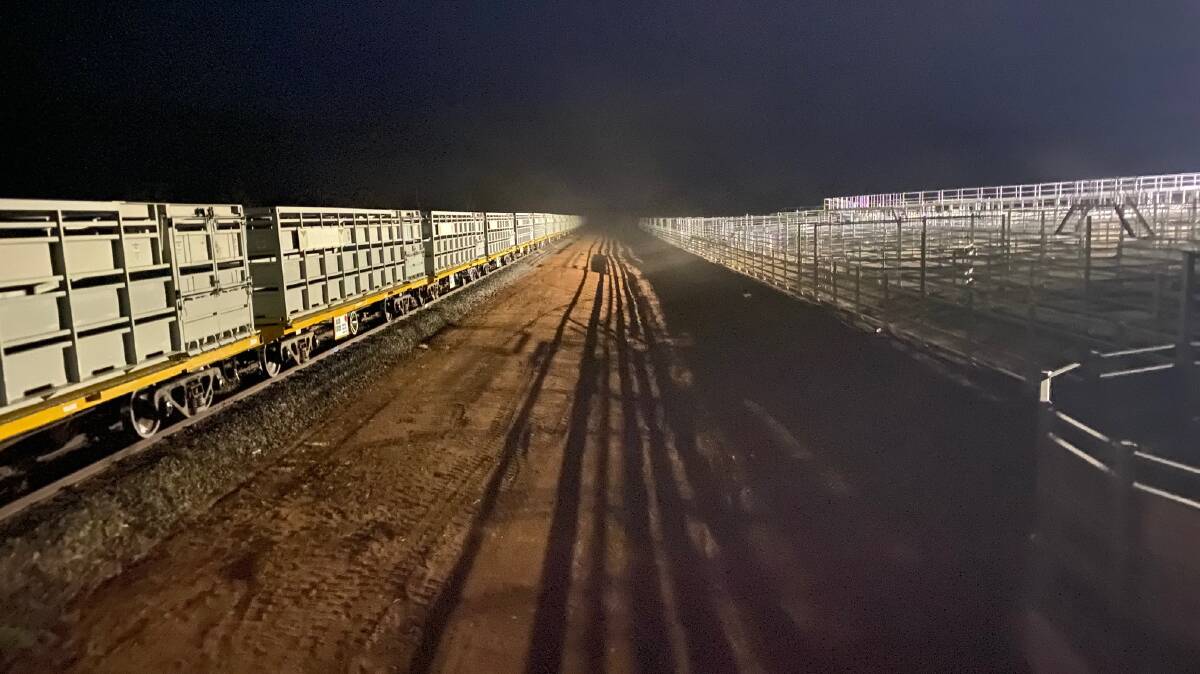 The Watco cattle train wagons being loaded under lights in September. Picture supplied.